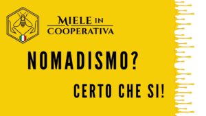 Read more about the article Nomadismo: certo che sì !