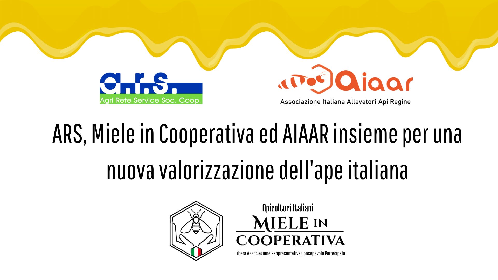 Al momento stai visualizzando ARS, Miele in Cooperativa ed AIAAR insieme per una nuova valorizzazione dell’ape italiana