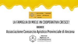 Scopri di più sull'articolo Associazione Consorzio Apistico Provinciale di Ancona aderisce a Miele in Cooperativa