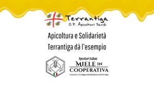 Read more about the article Apicoltura e solidarietà: Terrantiga dà l’esempio