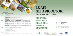 Scopri di più sull'articolo Online Webinar: 20 Maggio