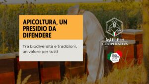 Scopri di più sull'articolo Apicoltura: una passione che diventa bene comune