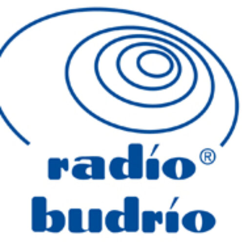 “Viaggio alla scoperta del miele prodotto da api italiane”: la presentazione alla Camera dei Deputati raccontata a Radio Budrio