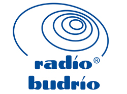 Scopri di più sull'articolo “Viaggio alla scoperta del miele prodotto da api italiane”: la presentazione alla Camera dei Deputati raccontata a Radio Budrio