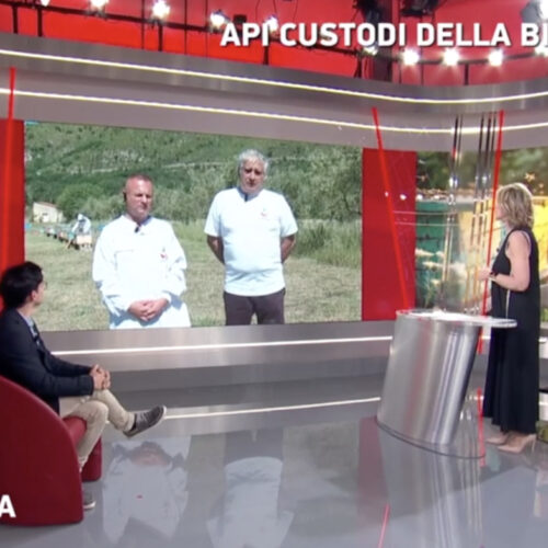 Giornata mondiale delle api 2026: MIC in diretta su Tg2 Italia Europa
