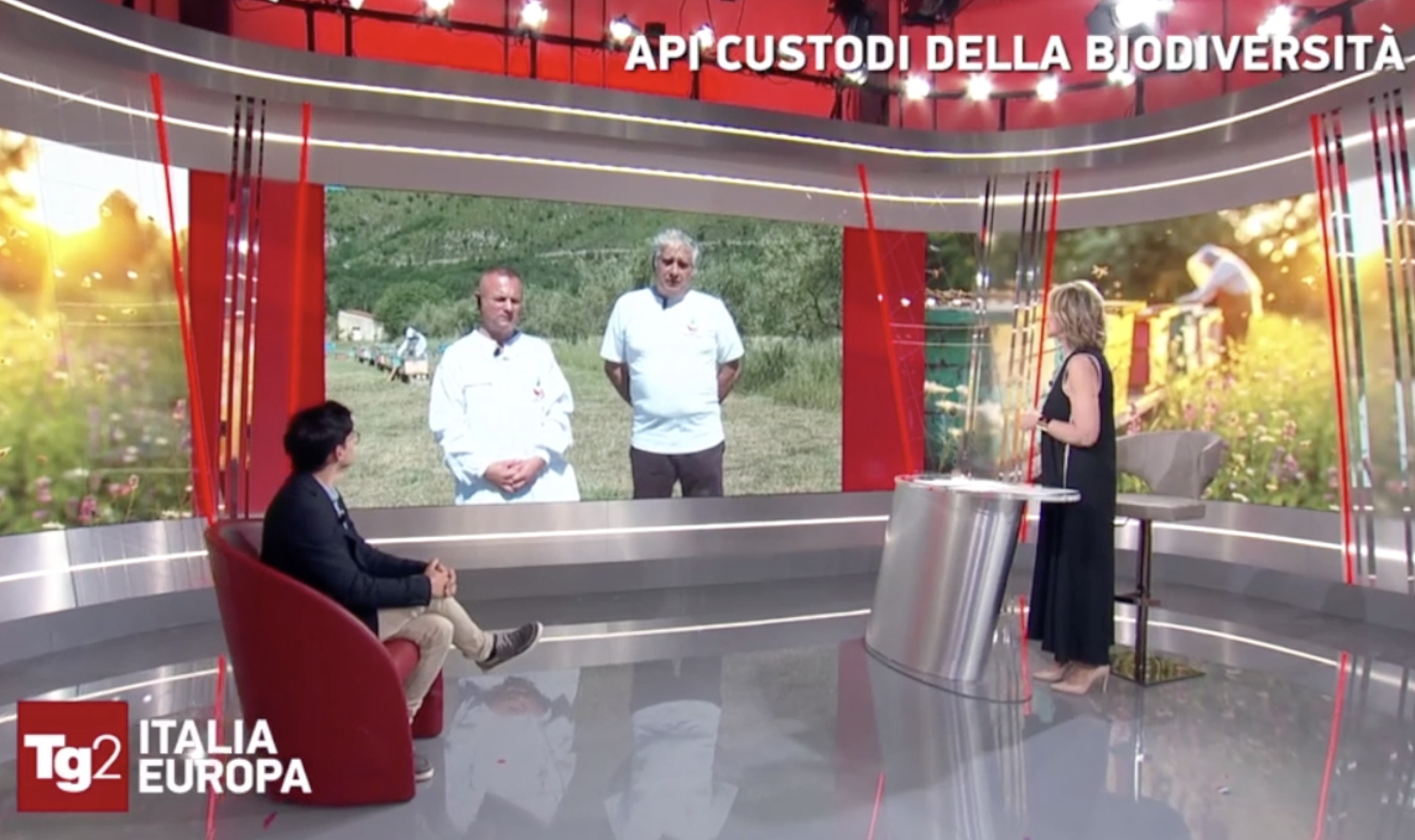 Al momento stai visualizzando Giornata mondiale delle api 2026: MIC in diretta su Tg2 Italia Europa