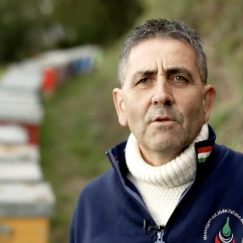 Il mondo delle api ed i loro eccezionali prodotti raccontati a Tg2 Weekend