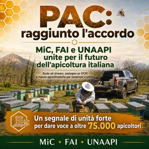 PAC: raggiunto l’accordo. MIC, FAI e UNAAPI unite per il futuro dell’apicoltura italiana